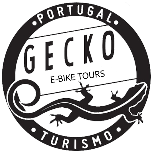 Electric Bike Tours On The Beach | Gecko Bike Tours