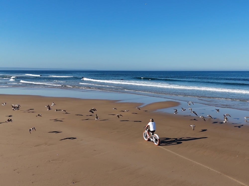 beach and surf tour