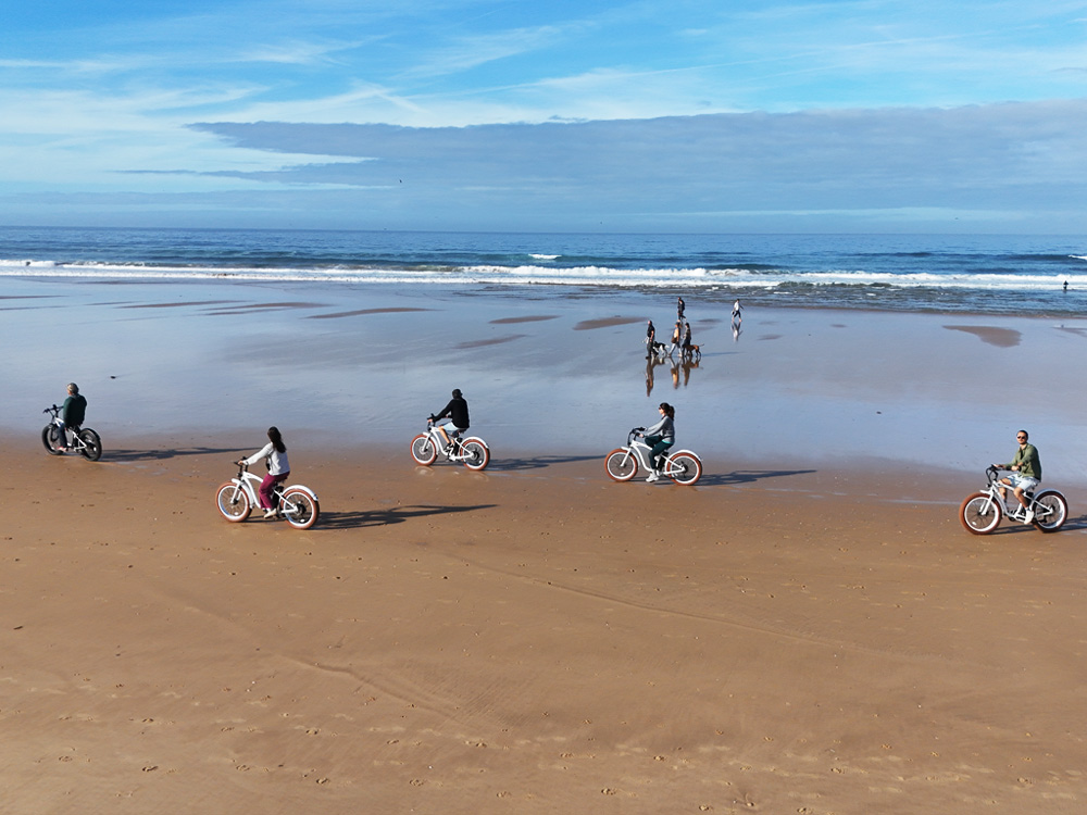 Gecko Beach Bike tours